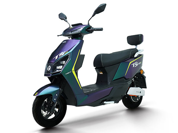 T5
